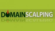 domainscalping_2
